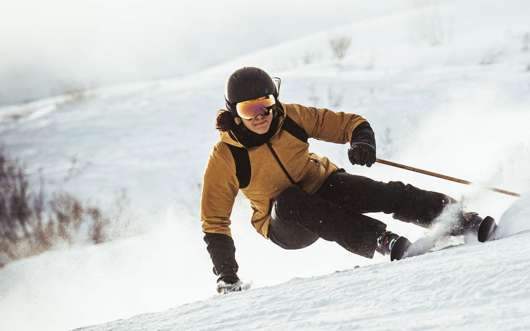 Ski Goggles image
